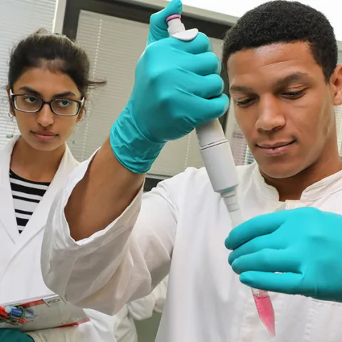 Bei Fragen zu Forschungsbedingungen und Fördermöglichkeiten in Deutschland unterstützt die Initiative „Research in Germany“ junge internationale Talente. 