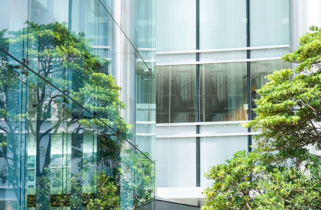 Baum mit grünen Blättern wird in einer Hausfassade gespiegelt