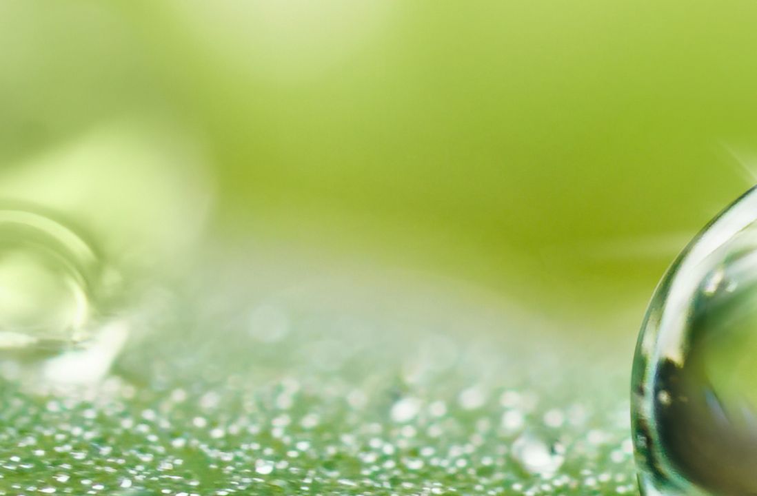 ein Wassertropfen auf einem grünen Blatt