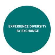 text experience diversity by exchange on a green background