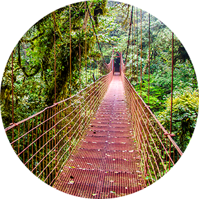 Dschungel in Costa Rica