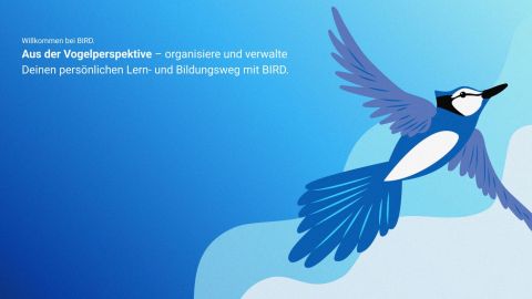 BIRD Homepage with Motto