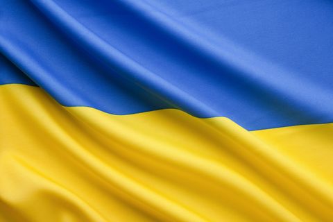 Flagge der Ukraine - Link öffnet in neuem Fenster.